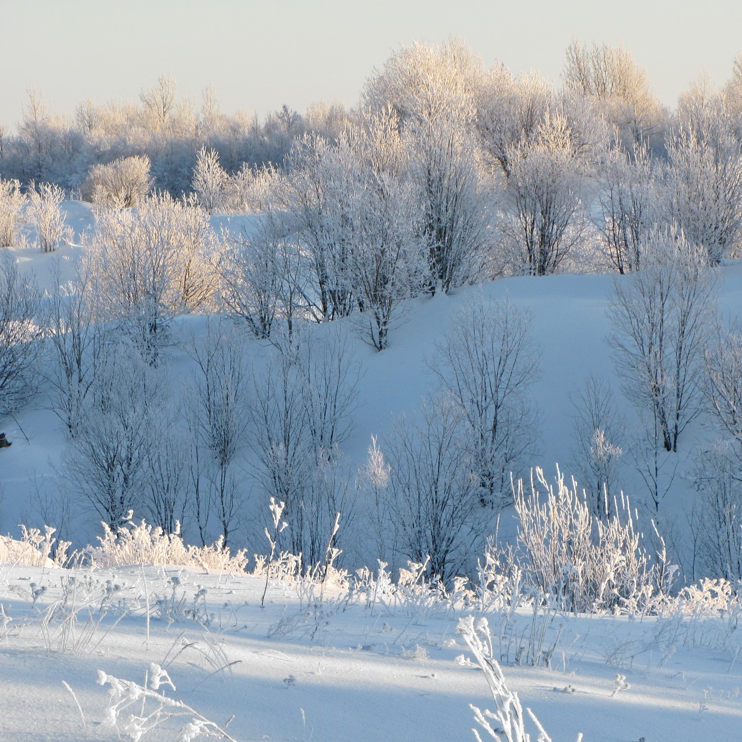Depositphotos_35509511_LV