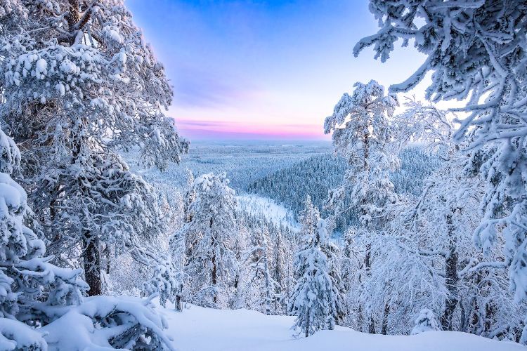IMG_3987 Winters Lapland